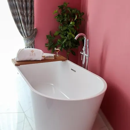 Pensiune 100 Boutique Living 4*